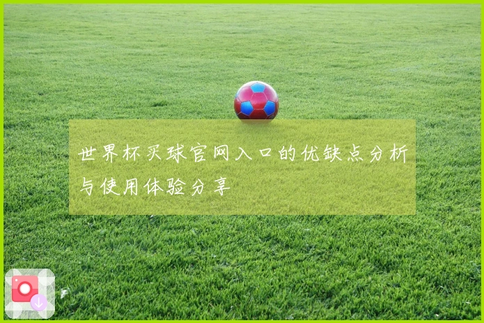 世界杯买球官网入口的优缺点分析与使用体验分享