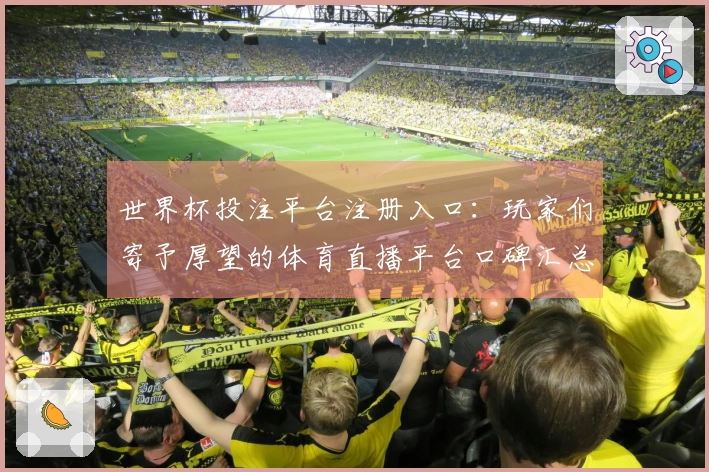 世界杯投注平台注册入口：玩家们寄予厚望的体育直播平台口碑汇总