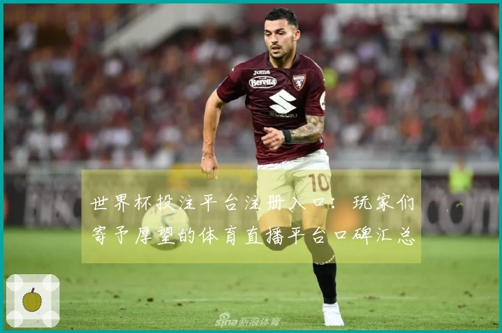 世界杯投注平台注册入口：玩家们寄予厚望的体育直播平台口碑汇总
