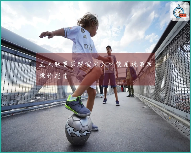 五大联赛买球官方入口使用说明及操作指南