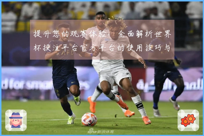 提升您的观赛体验，全面解析世界杯投注平台官方平台的使用技巧与功能指导
