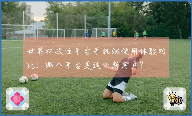 世界杯投注平台手机端使用体验对比：哪个平台更适合新用户？