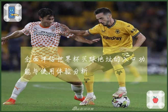 全面评估世界杯买球地址的入口功能与使用体验分析