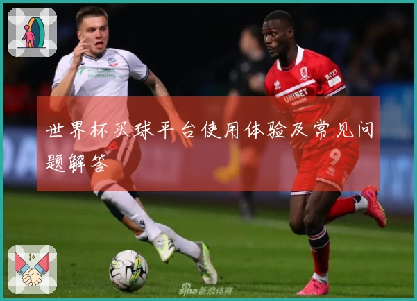 世界杯买球平台使用体验及常见问题解答