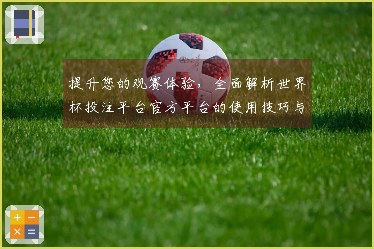 提升您的观赛体验，全面解析世界杯投注平台官方平台的使用技巧与功能指导