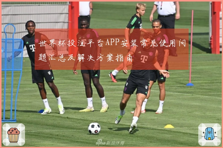 世界杯投注平台APP安装常见使用问题汇总及解决方案指南