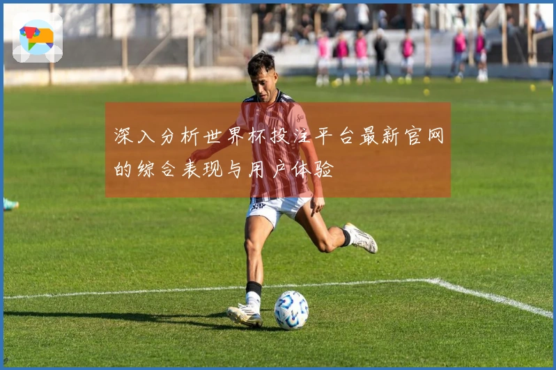 深入分析世界杯投注平台最新官网的综合表现与用户体验