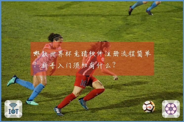哪款世界杯竞猜软件注册流程简单？新手入门须知有什么？
