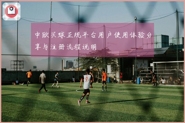中欧买球正规平台用户使用体验分享与注册流程说明