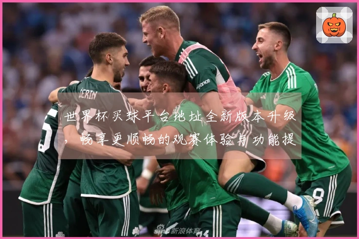 世界杯买球平台地址全新版本升级，畅享更顺畅的观赛体验与功能提升