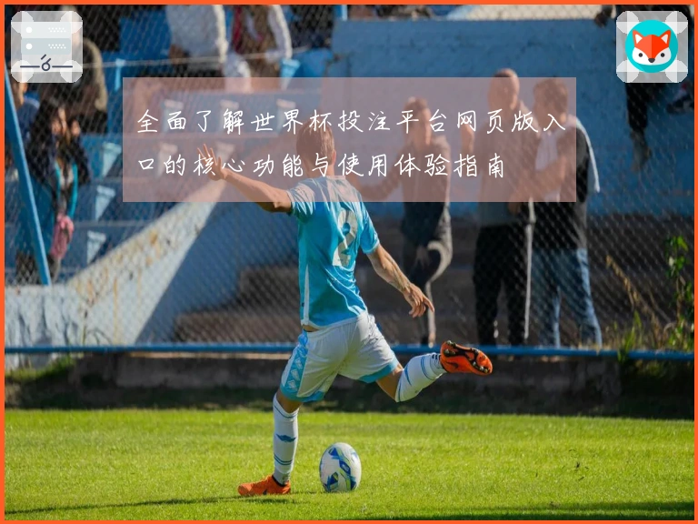 全面了解世界杯投注平台网页版入口的核心功能与使用体验指南
