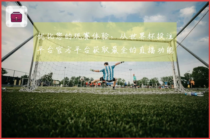 优化您的观赛体验，从世界杯投注平台官方平台获取最全的直播功能与使用指南