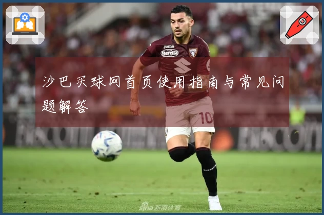 沙巴买球网首页使用指南与常见问题解答