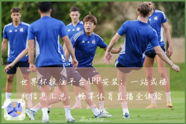 世界杯投注平台APP安装：一站式福利信息汇总，畅享体育直播全体验