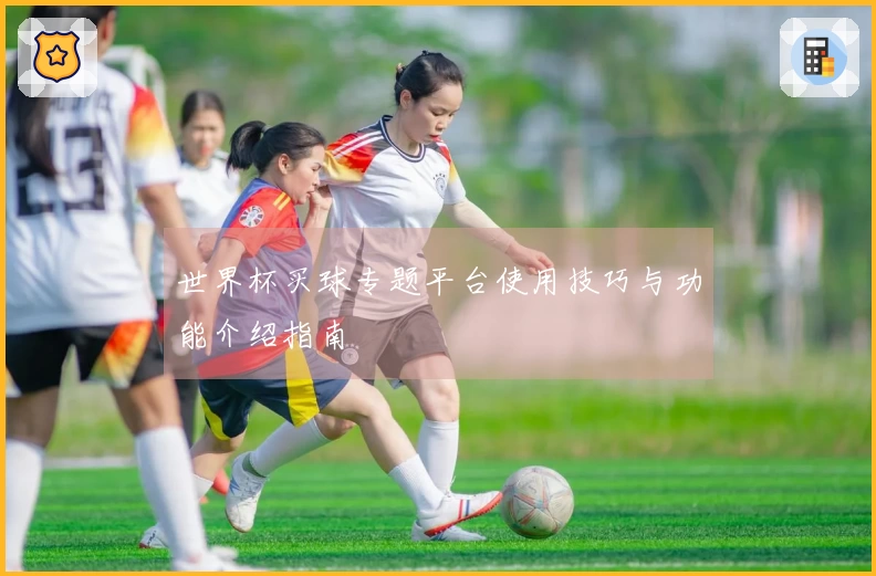 世界杯买球专题平台使用技巧与功能介绍指南