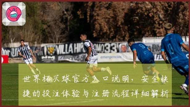 世界杯买球官方入口说明，安全快捷的投注体验与注册流程详细解析